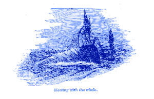 Meeting with the whale