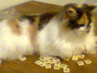 - I happen to know a very competent copy editor, a copy chief, in fact, a ruthless prescriptionist.- Toothless? Did you say something about a toothless copy editor? Great echo in here!