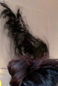 Hair Bun with Rooster Tail.