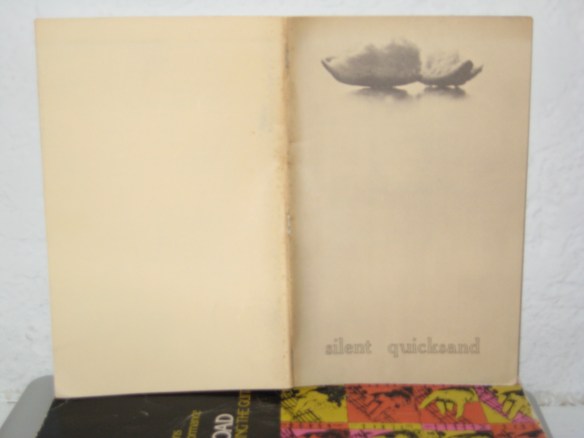 silent quicksand # 2