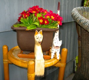 A Cat For All Seasons