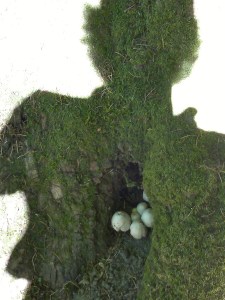 Self Portrait with Mushrooms
