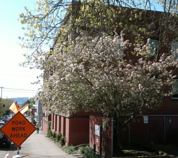 041320141137 Crabapple road construction