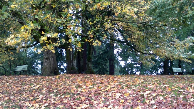 An Academic Argument