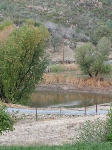 Eric and Joe in Ione Nov 2007 124_4118564776_l