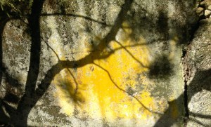 Breaking Bad in Stromboli