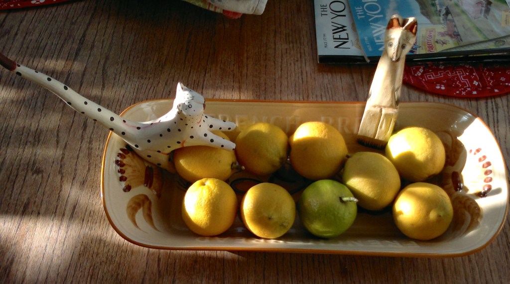 Scamble and Cramble Shoot Pool