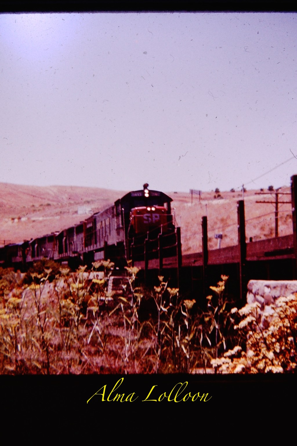 Alma Lolloon: 4th Installment of Work in&nbsp;Progress