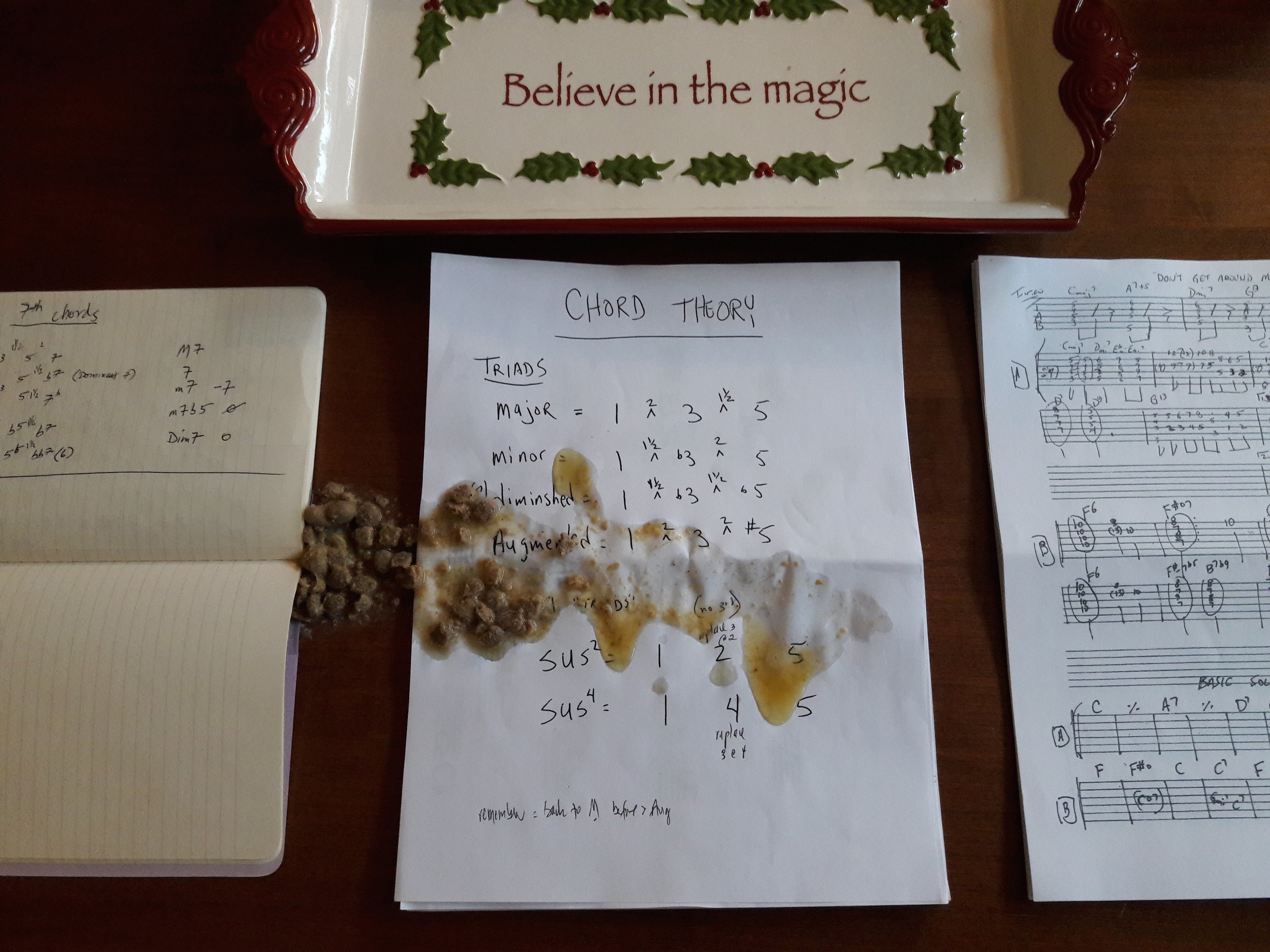 The Cat Music Critic