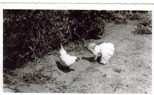 Birdbrain, Bird-witted, and more on&nbsp;Thought