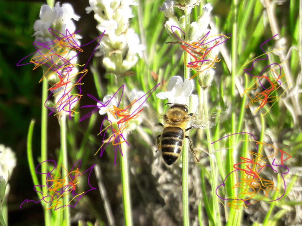 The Epic Virus and Examined&nbsp;Life