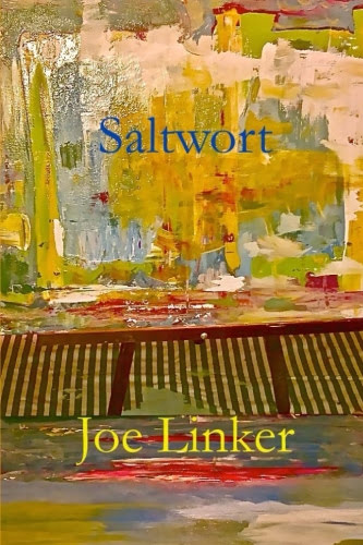 Book cover for "Saltwort" by Joe Linker shows an abstract painting in the author's basement workshop.