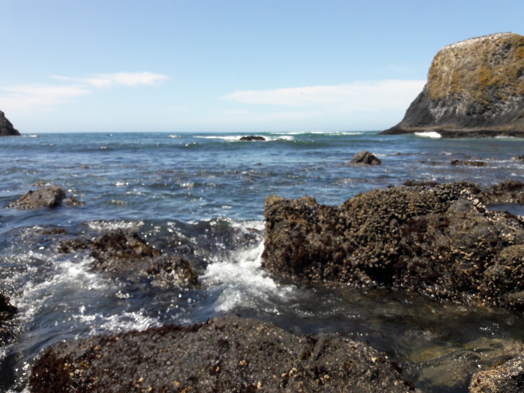 Cobble Beach below Yaquina Head Lighthouse, 2019.