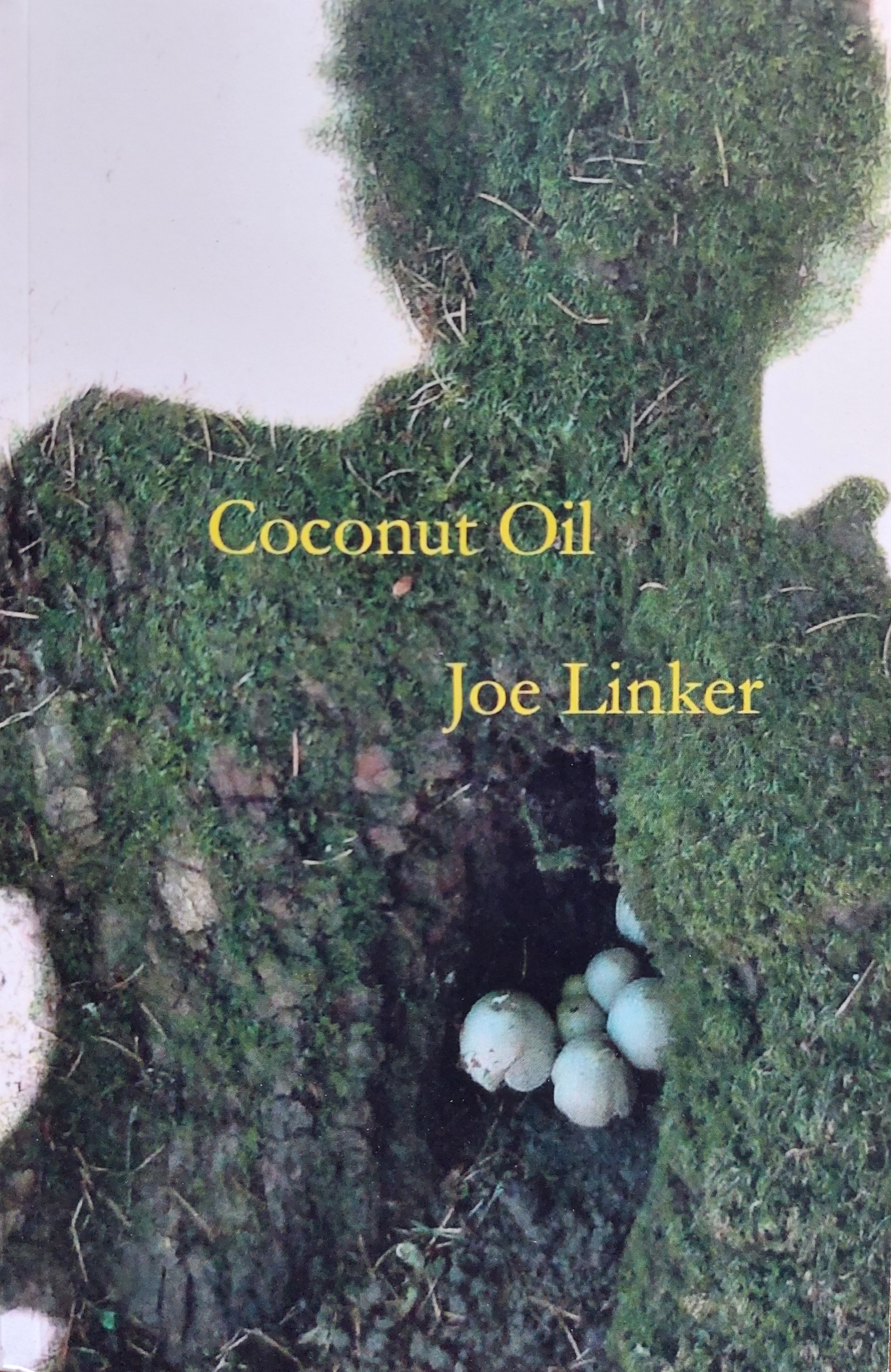 Book cover for "Coconut Oil" by Joe Linker shows a photo by the author of a tree outlined with the shadow of a person, with  mushrooms like bird eggs in a chest-like opening.