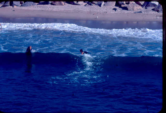 Two surfers seen from behind from  Redondo Beach Horseshoe Pier.